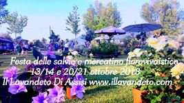 Festa delle salvie 